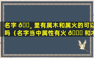 名字 🌸 里有属木和属火的可以吗（名字当中属性有火 💐 和木好不好）